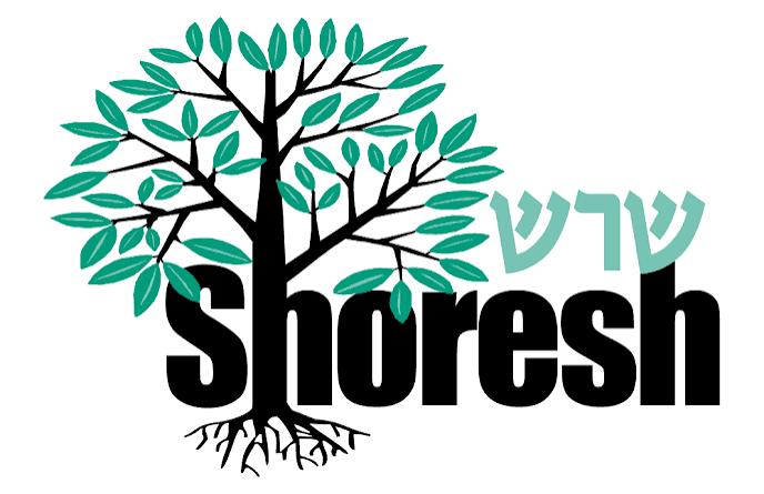 Camp Shoresh
